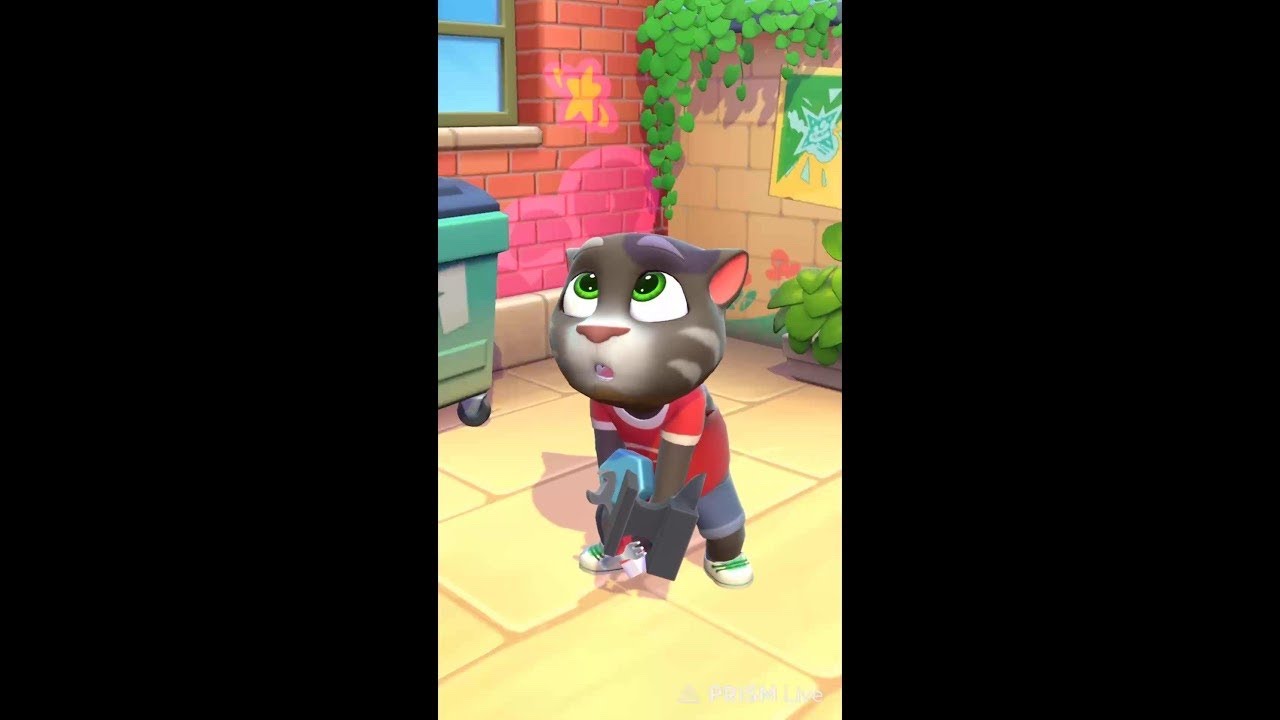 Talking Tom #talkingtom #prismlivestudio #shortslive