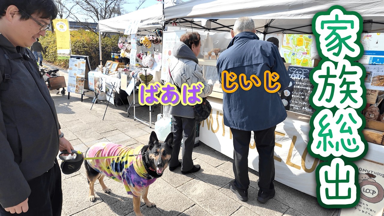 じいじとばあばと犬イベント行ったら、愛犬が止まりませんでしたw【ジャーマンシェパード】