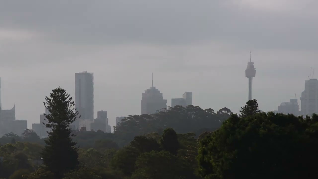 Queens Park Sydney Timelapse Close