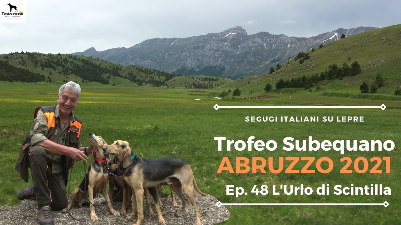 SEGUGI ITALIANI SU LEPRE (EP. 48) - SECONDO ASSOLUTO TROFEO SUBEQUANO