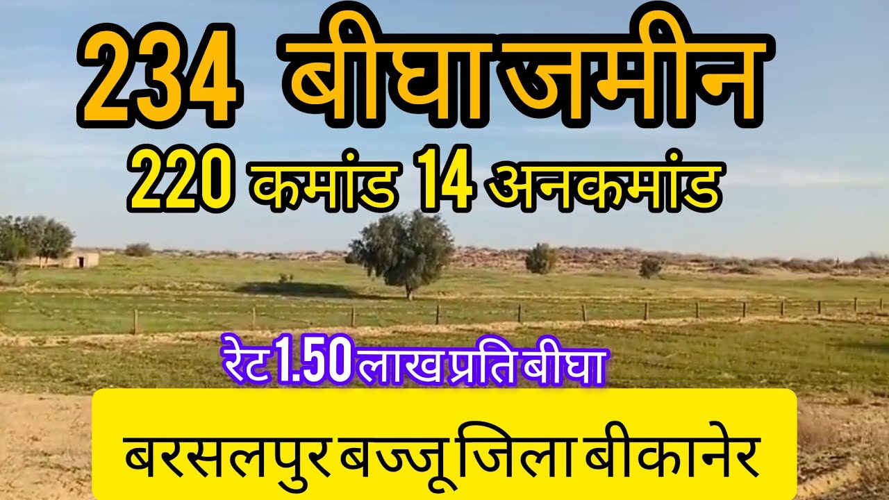 बरसलपुर बज्जू जिला बीकानेर में 234 बीघा जनरल खातेदार वाली जमीन बिकाऊ 
