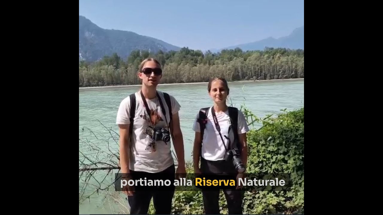 🌳🦋💧 LE NOSTRE AREE: La Riserva Naturale di Fondo Toce 💧🦋🌳