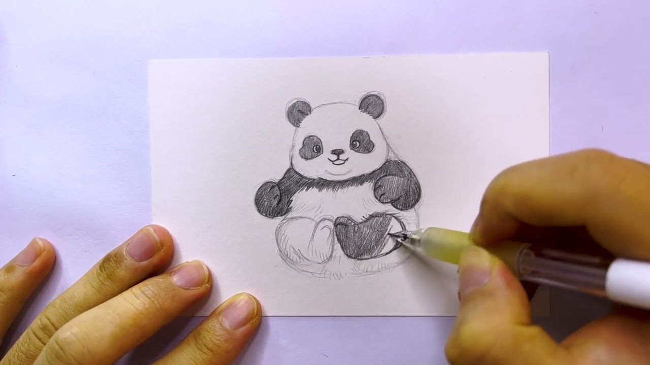 Draw panda Day 117｜pencil sketch