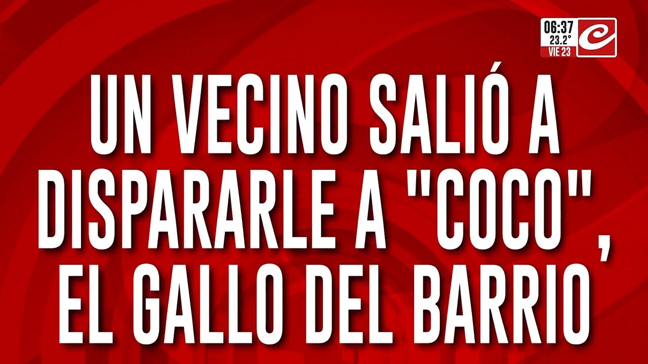 Tremendo: enfureció por el canto de un gallo y arremetió a tiros contra el animal