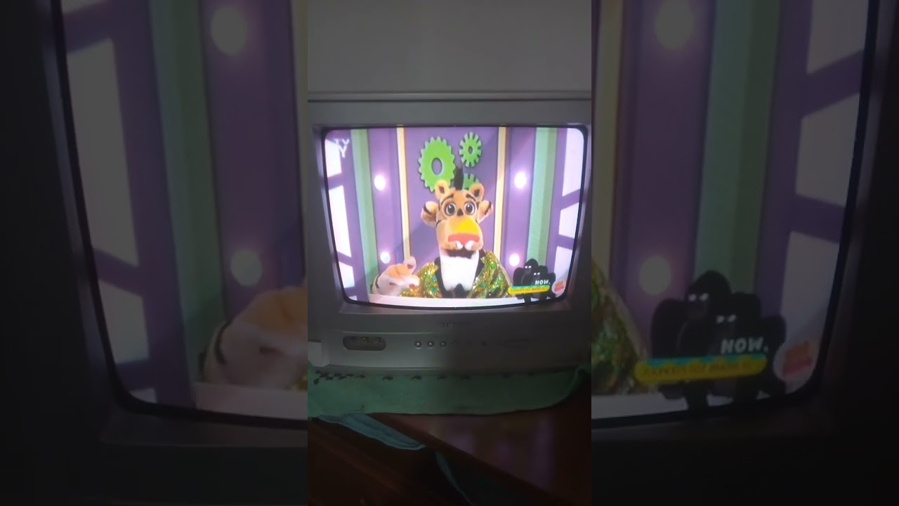 Zoomoo Tiene Cerebro Otro Episodio Y Es Sobre Simios Y Monos + Tanda Comercial Zoomoo 27/04/24
