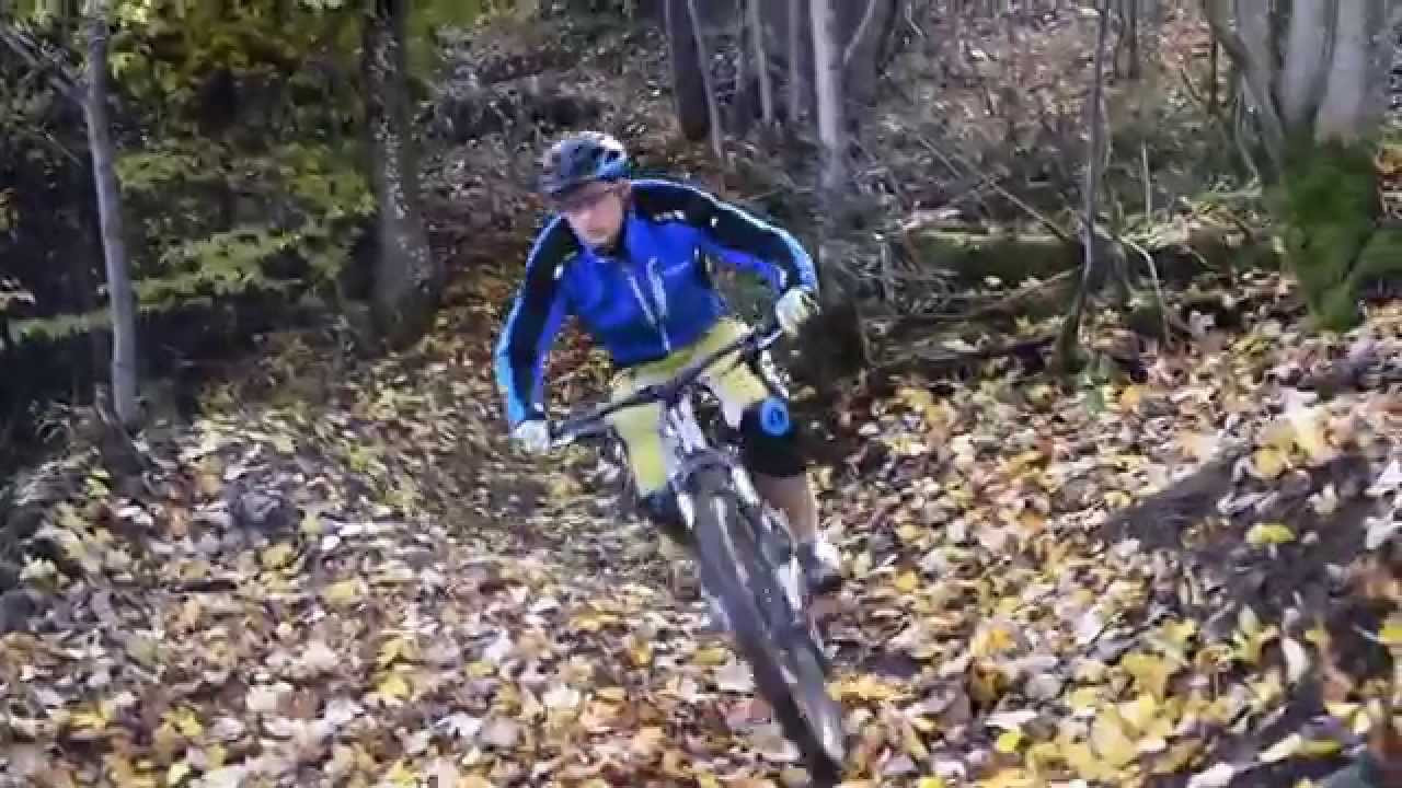 Unterwegs in den Wäldern um Freiburg mit Jules