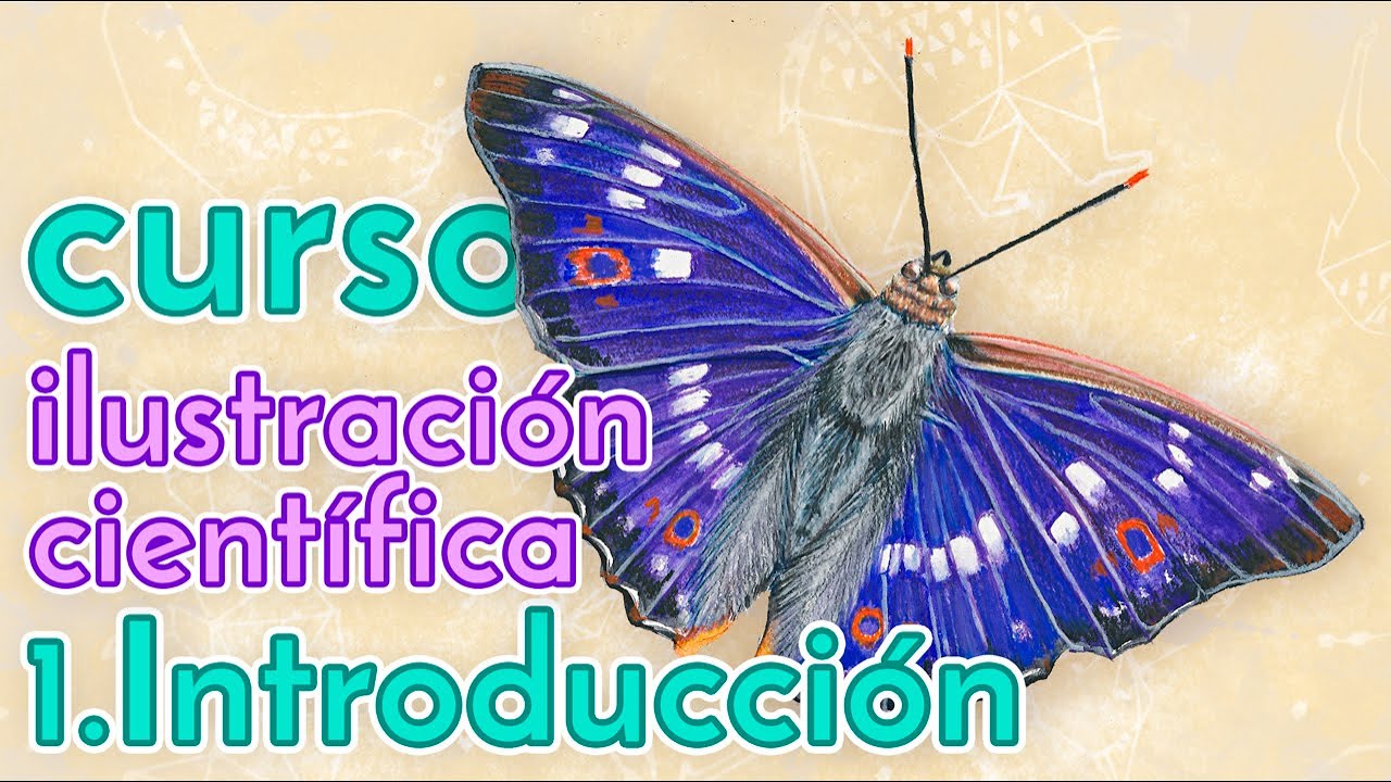 CURSO de Ilustración Científica online GRATIS - Consejos antes de DIBUJAR