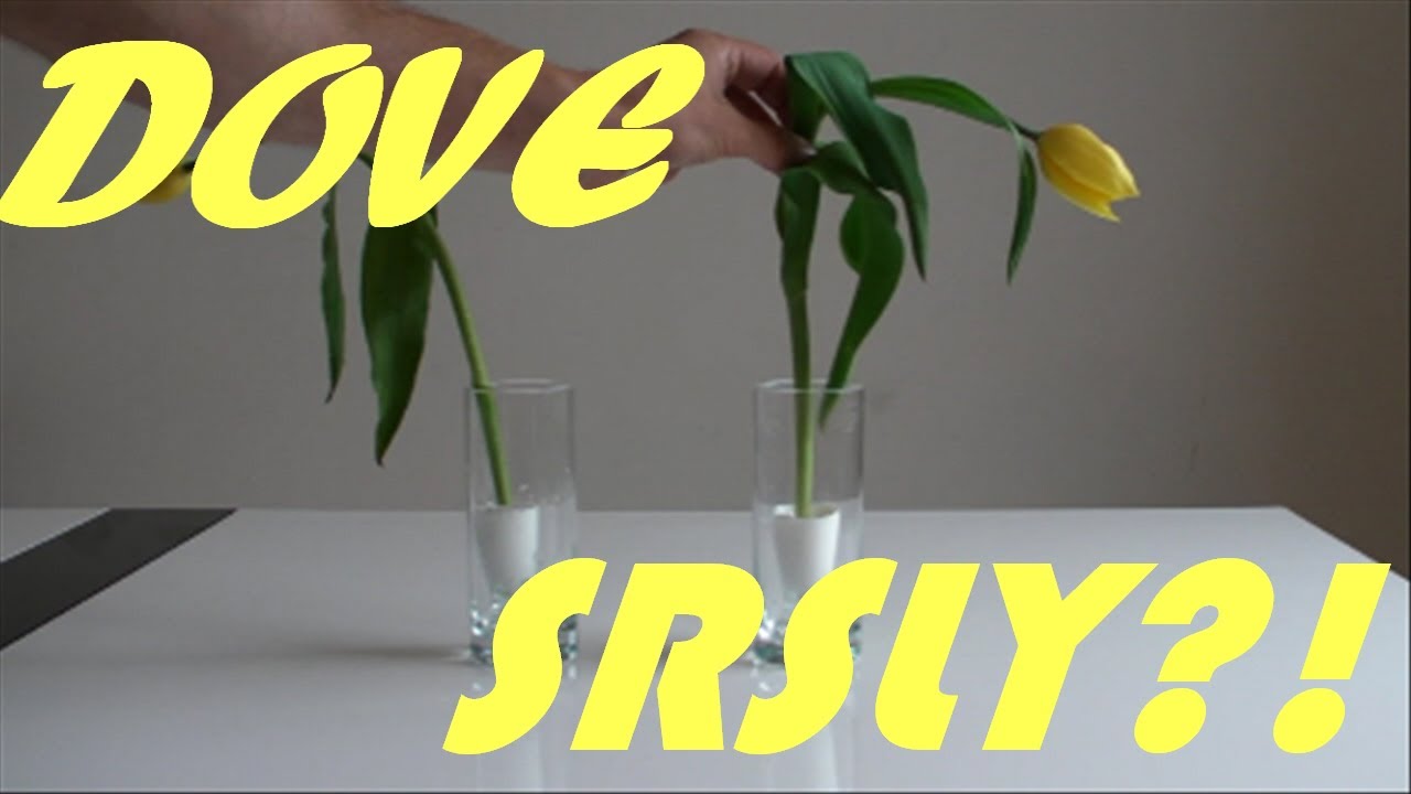 AdBuster - konfrontacja (znowu) Dove + ...