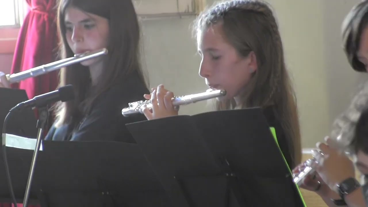 Concerto di fine anno - Indirizzo Musicale - classi 1F e 3F