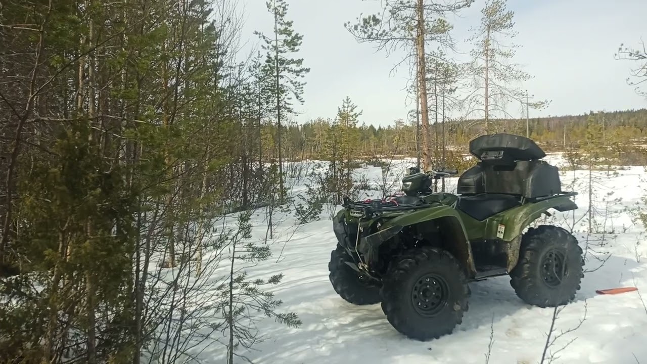 Näin laitat nuolukiven hirville hyvin!!!