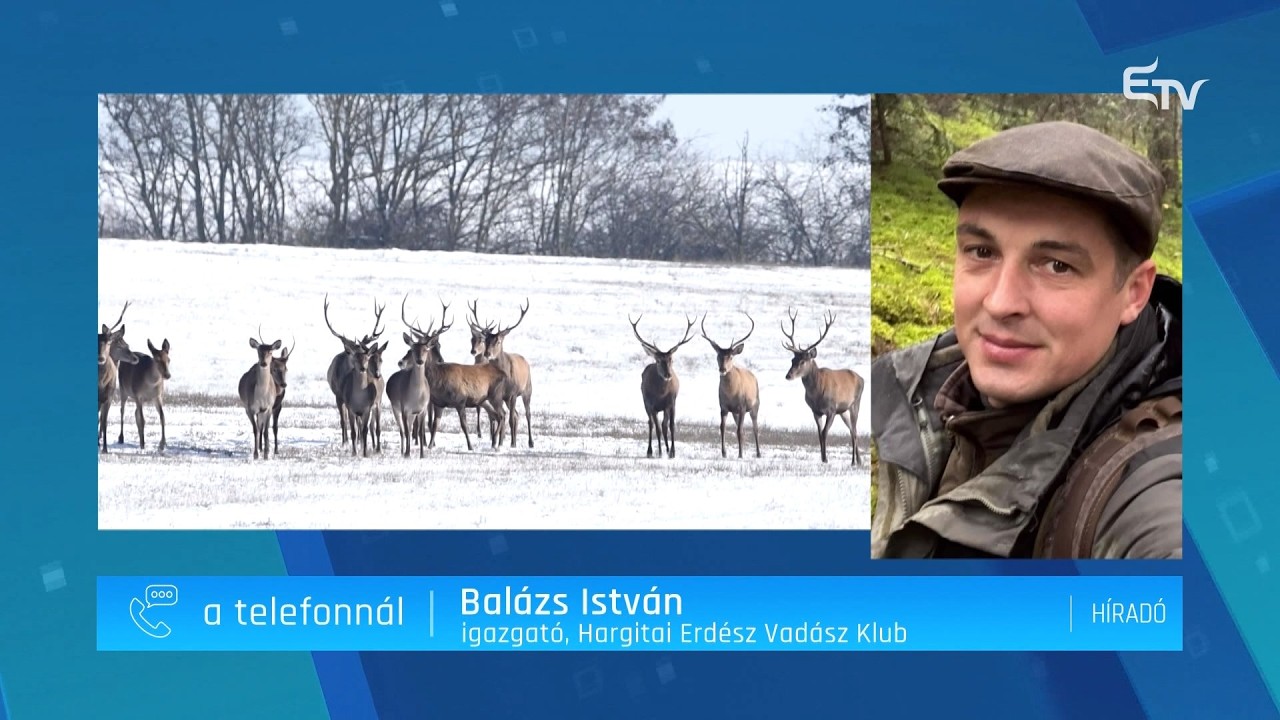 Veszélyes villanypásztor – Erdély TV