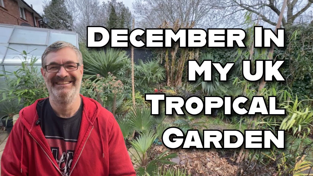 December Garden Update - Hidden Tropical Plants Thriving