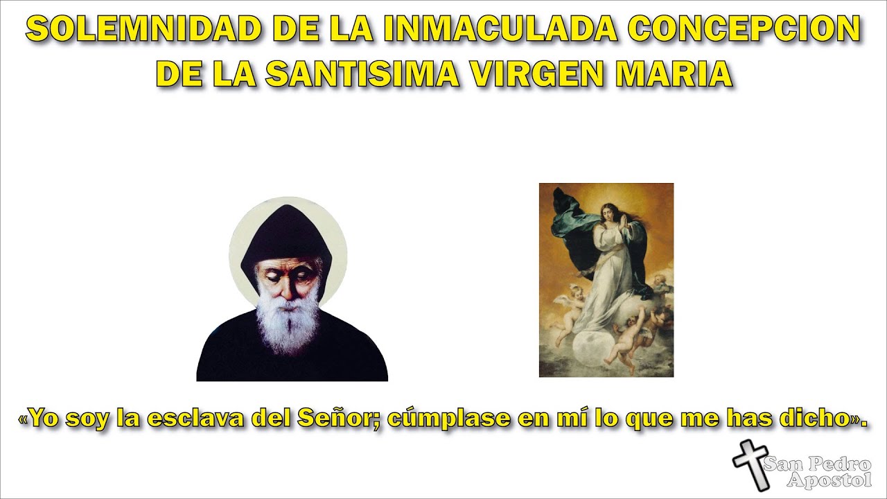 Solemnidad de la Inmaculada Concepción de la Santísima Virgen María.
