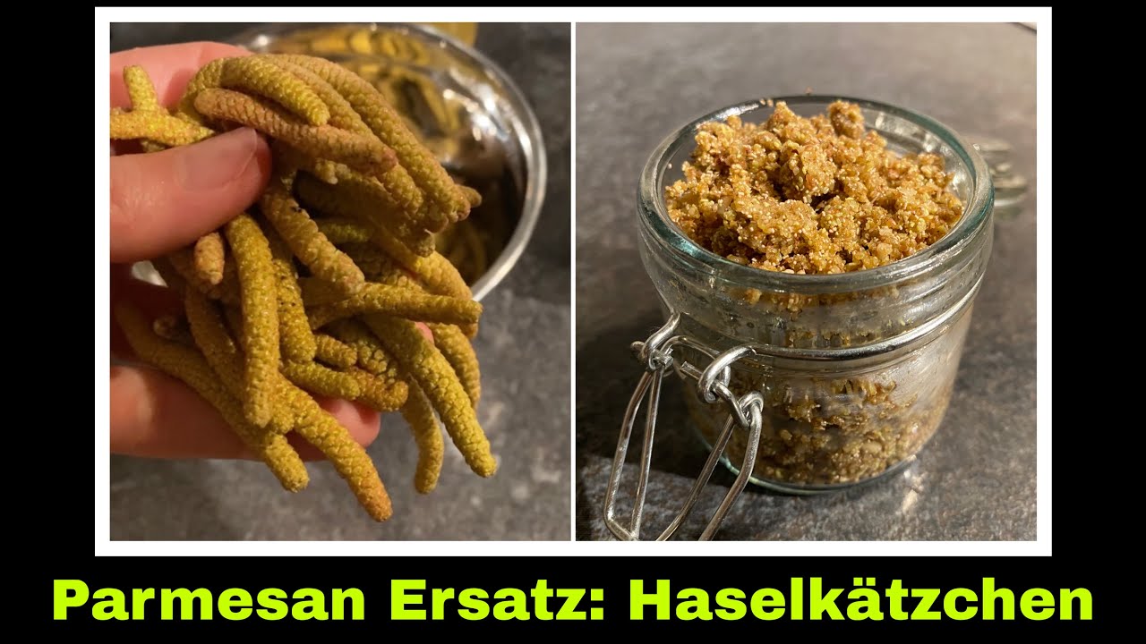 veganer Parmesan Ersatz aus Haselkätzchen und Walnüssen Rezept | Selbstversorgung 