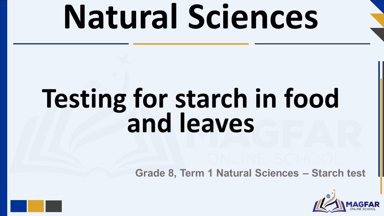 Grade 8 Term1 Natural Sciences: The Starch Test
