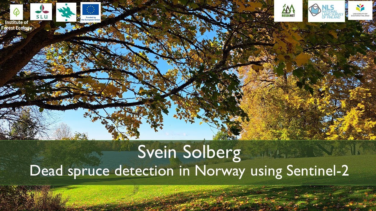 Dead spruce detection in Norway using Sentinel-2 | Svein Solberg