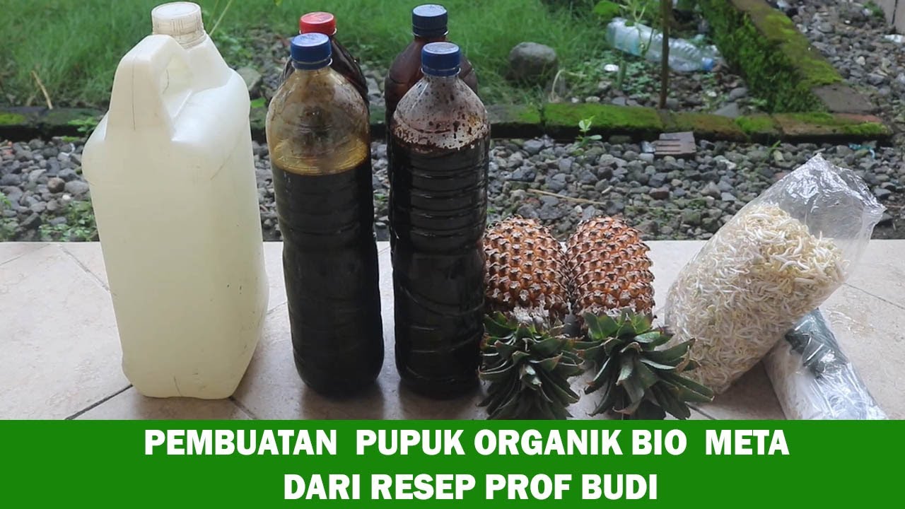 Cara pembuatan pupuk organik Bio Meta dari penemuan Prof Budi