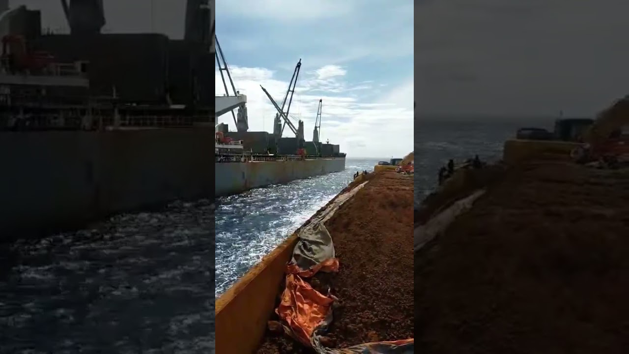MV Devon Bay loading alongside 🌊 Respect & gratitude to the crew! #DevonBay #Maritime #2024  #fypp