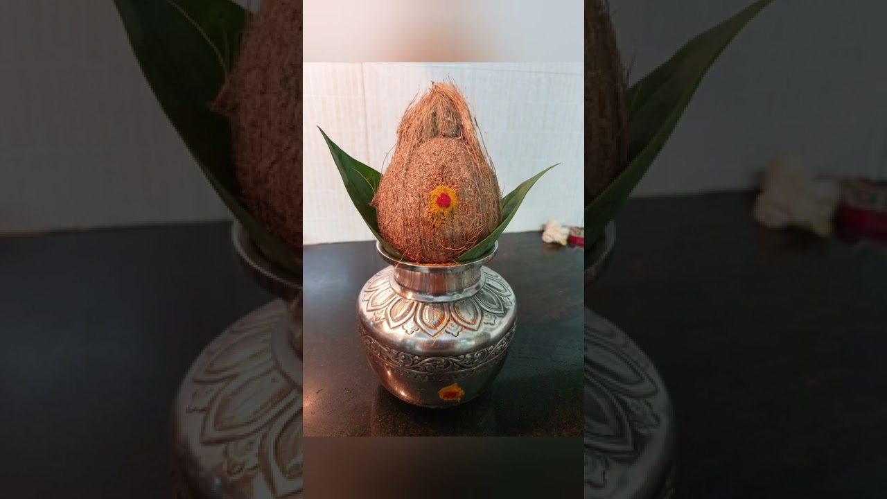 Appa Shankaralinga Srikanthanu # ಅಪ್ಪ ಶಂಕರಲಿಂಗ ಶ್ರೀಕಾಂತನು#ಅನುಗ್ರಹ ನಾಮಾಮೃತ #ಅಪ್ಪ#Srikanthappa sadguru