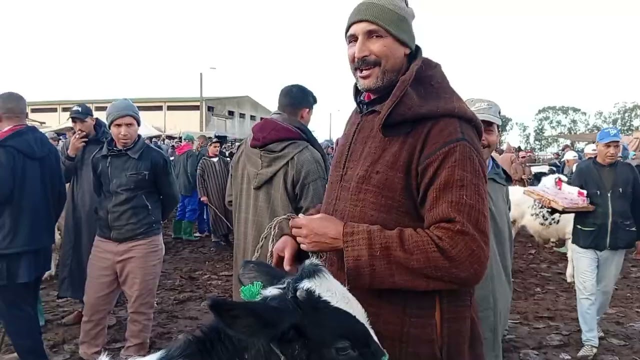 من سوق حد السوالم 