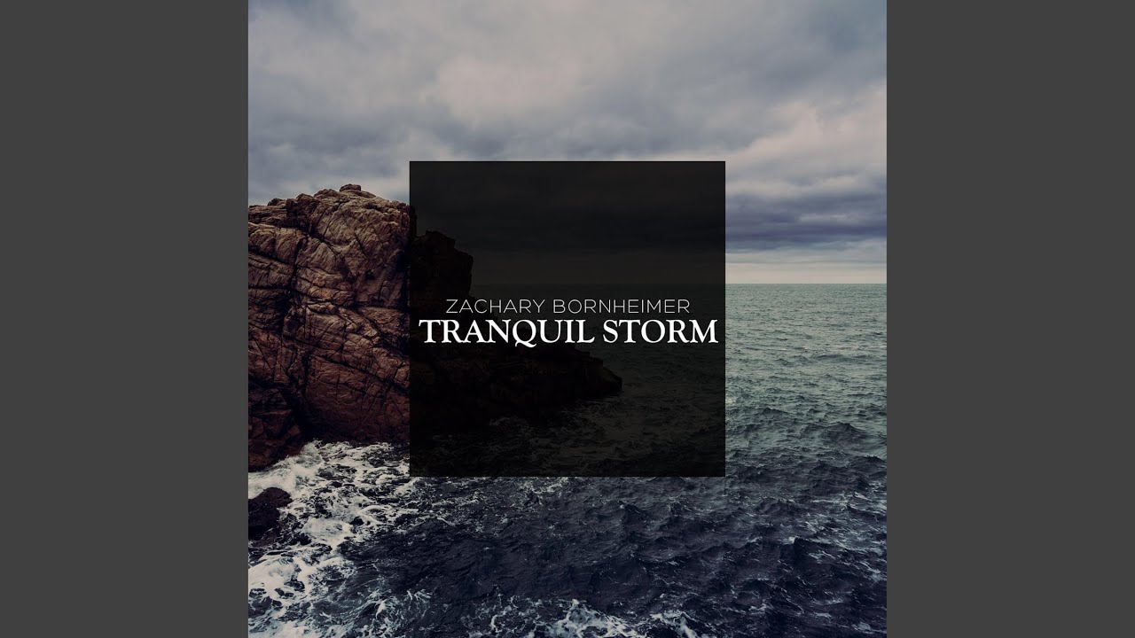 Tranquil Storm (feat. Jonathan Cestero, Jeff Wooldridge, James Suggs, Tom Brantley, Chris...