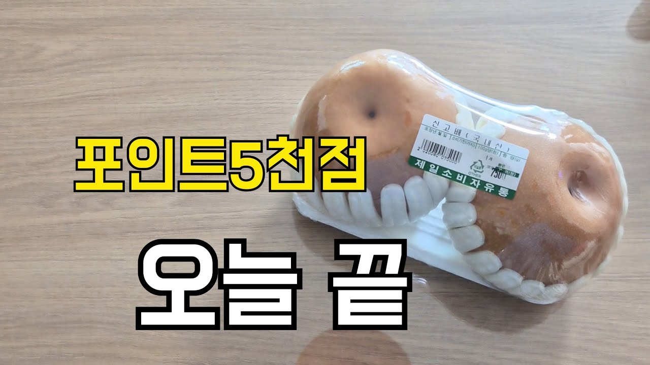 밤 12시까지 일한 남편..포인트5천점으로 장봤어요  |초등아침밥상 | 4인가족가계부 브이로그