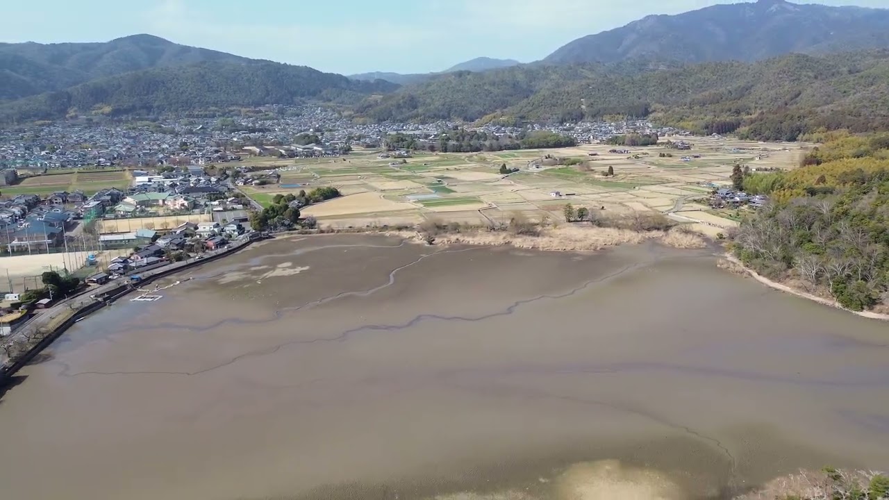 池底が現れる広沢池