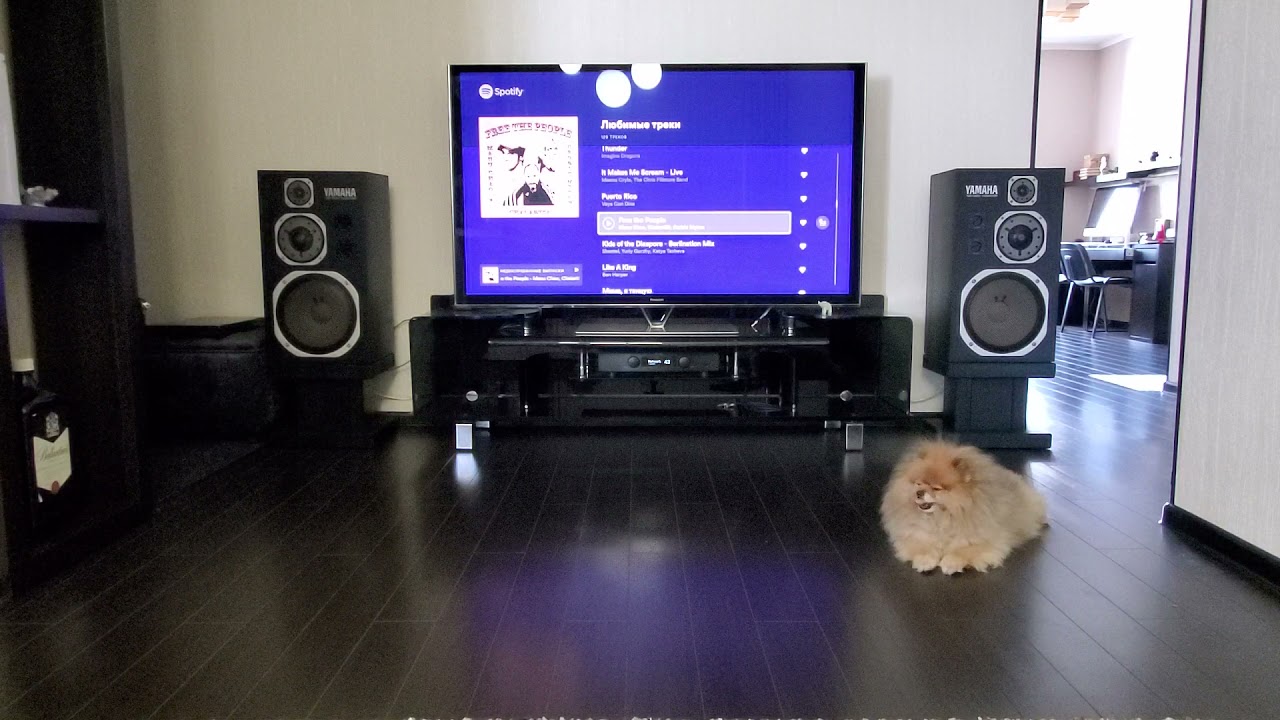 Hegel H95, Yamaha NS1000M