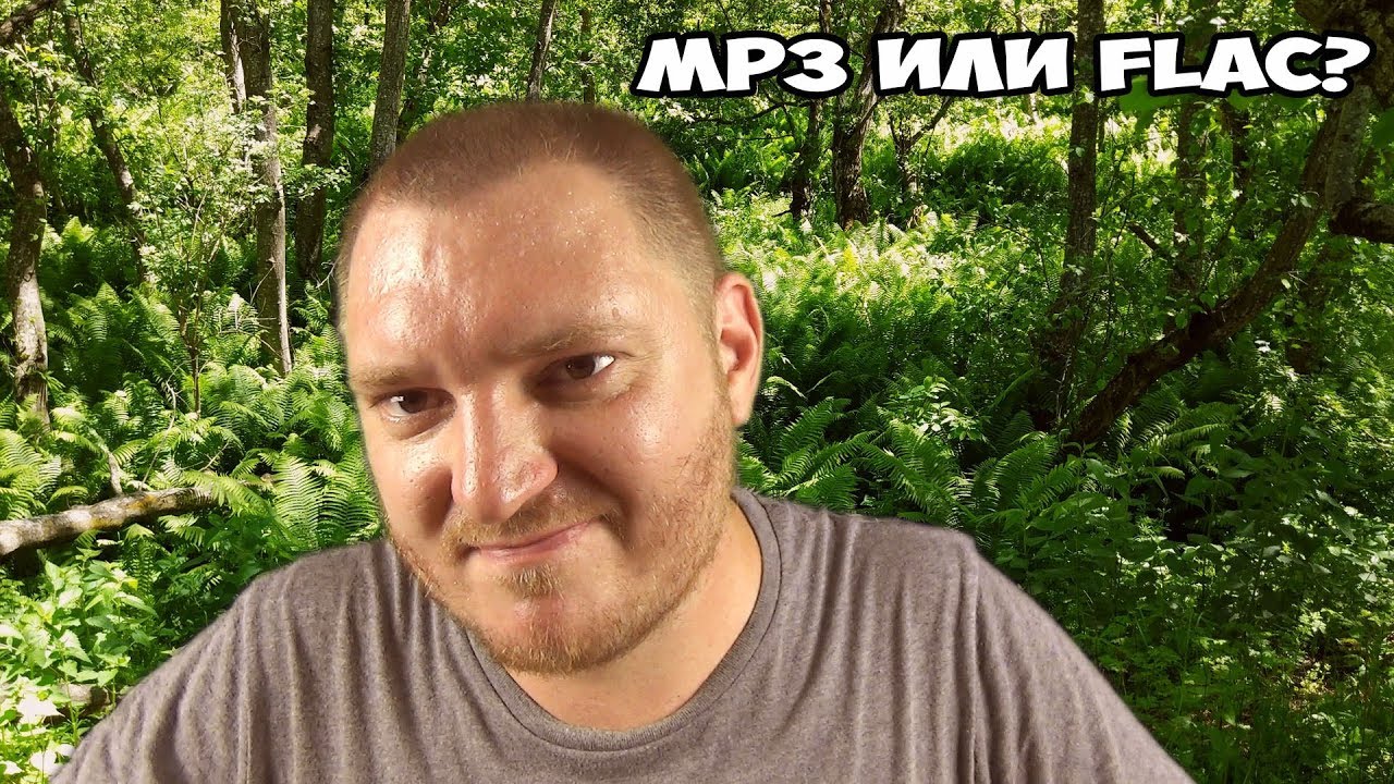 Стоит ли качать MP3, если разницы с FLAC не слышно?