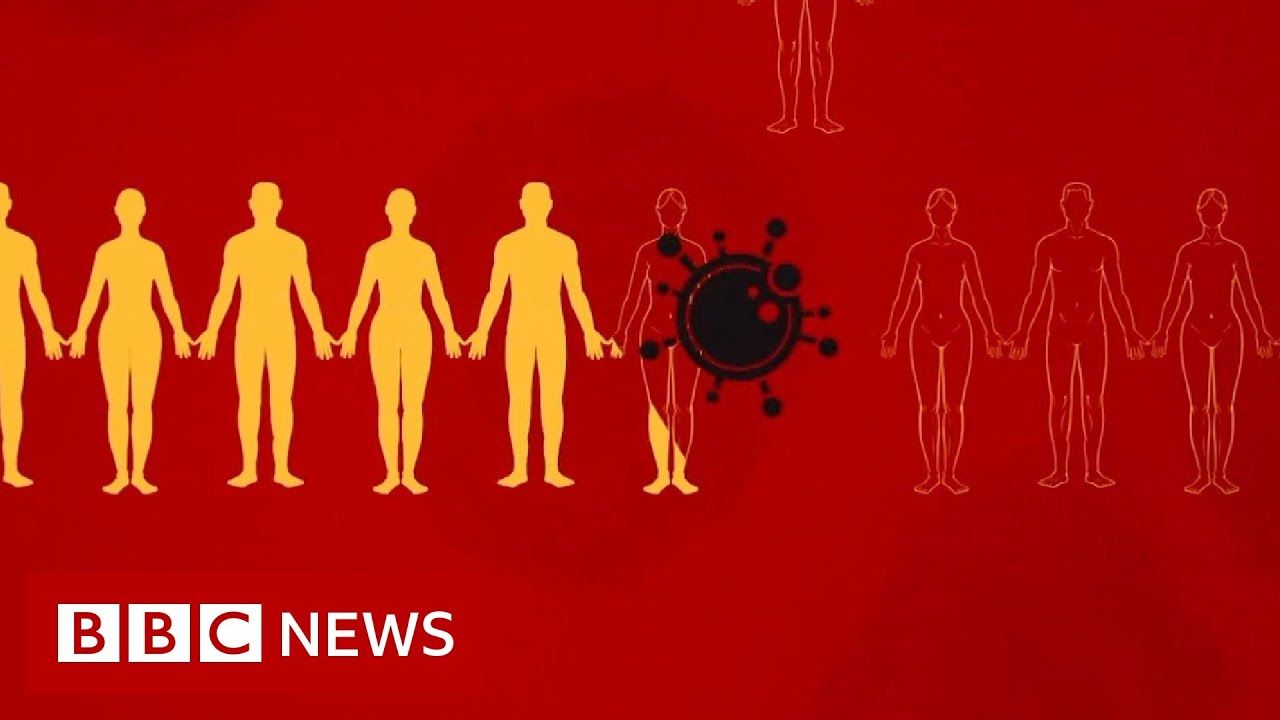 Coronavirus: What is social distancing? - BBC News