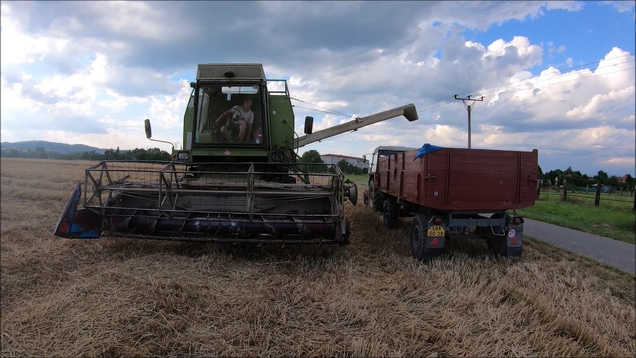 Žně 2020// Pšenice// Fortschritt E-514 MDW// Zetor 6211 + Vlek 7T