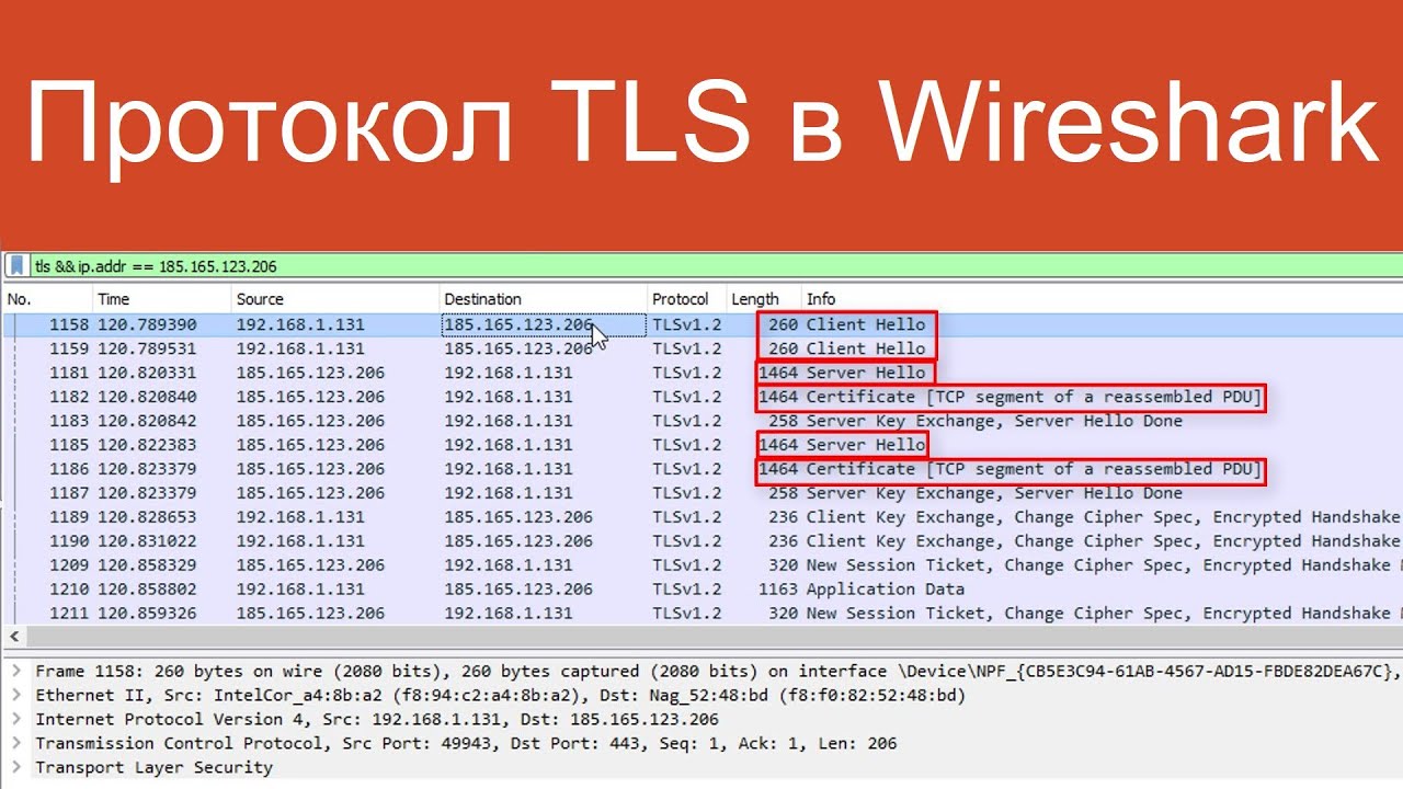 Анализируем протокол TLS в Wireshark | Защищенные сетевые протоколы