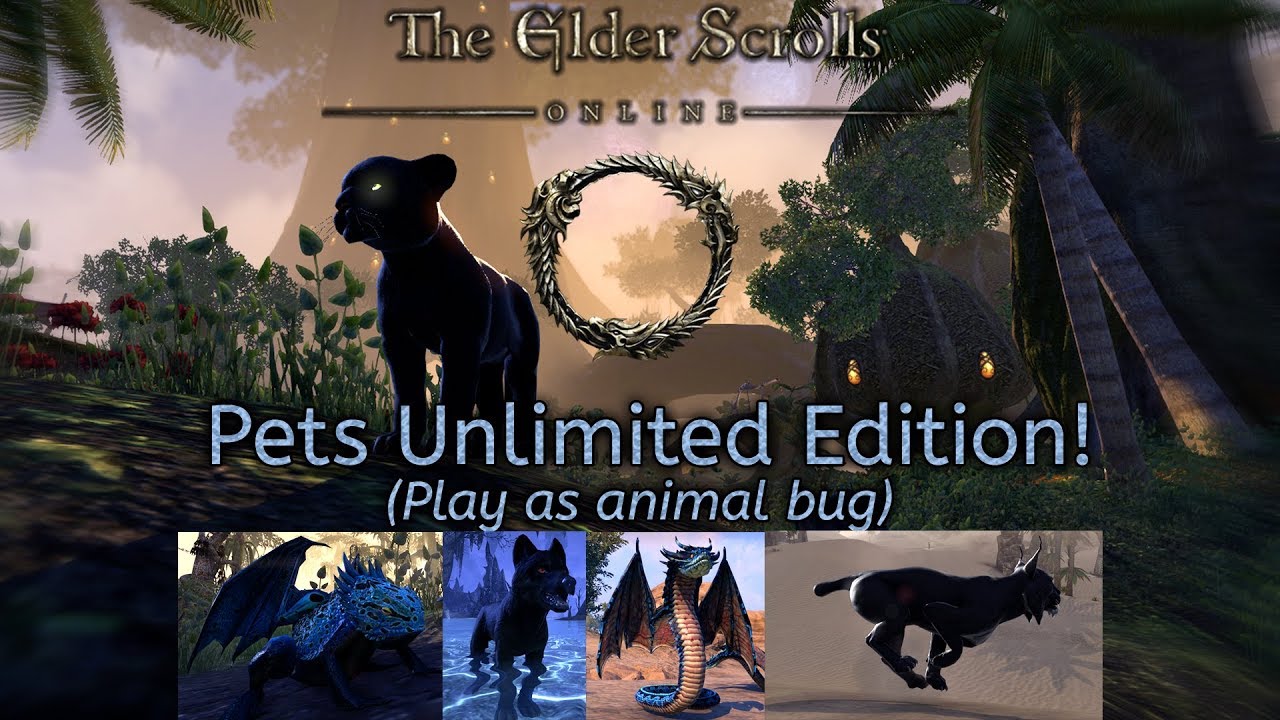 Elder Scrolls Online | Play as animal glitch!