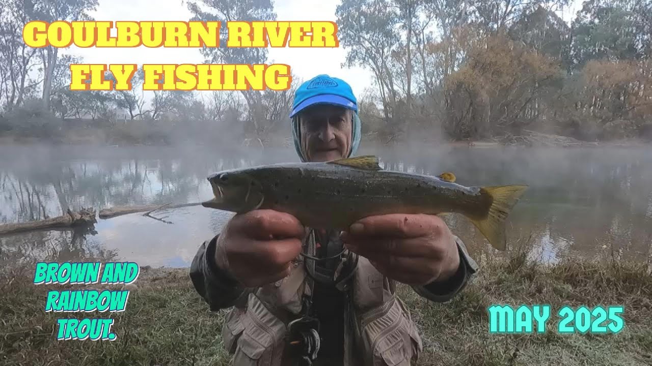* GOULBURN RIVER FIRES  UP * End of Autumn 2025. #fishing #goulburnriver, #flyfishing #troutfishing