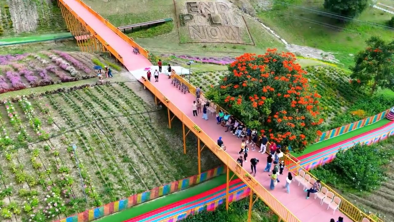 Euphoria Flower Farm and Adventure Park | Tupi South Cotabato