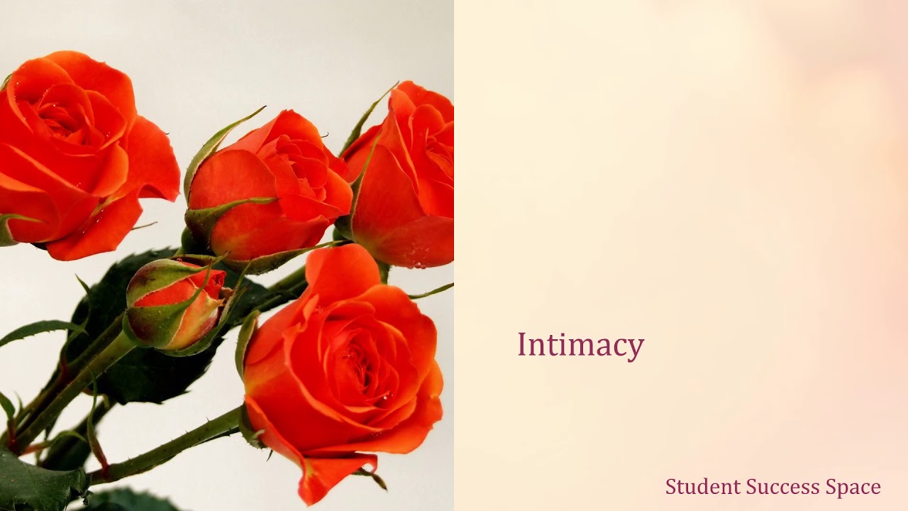 MBTI – ENFP in Love and Marriage