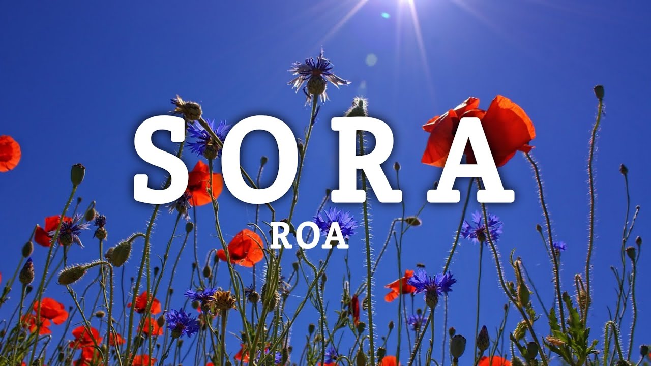 Sora - Roa (Instrumental)