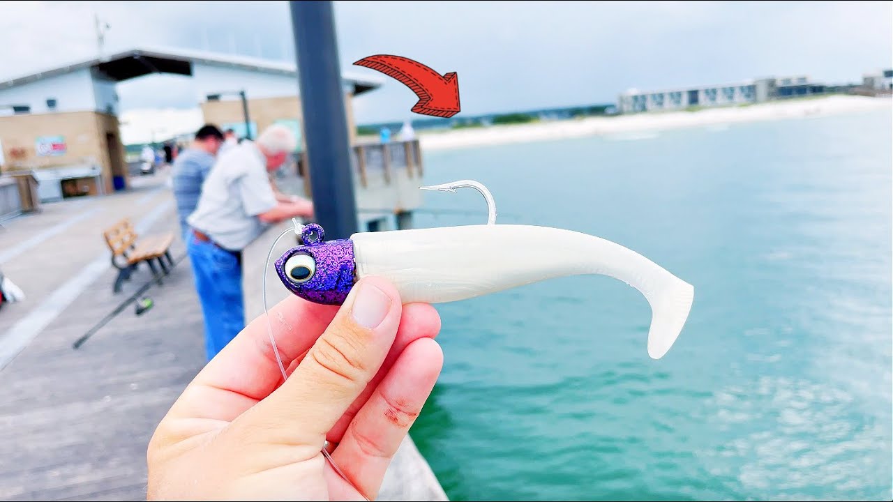 I Threw THIS Off the BEACH PIER and Hooked the BIGGEST Fish in the GULF!!