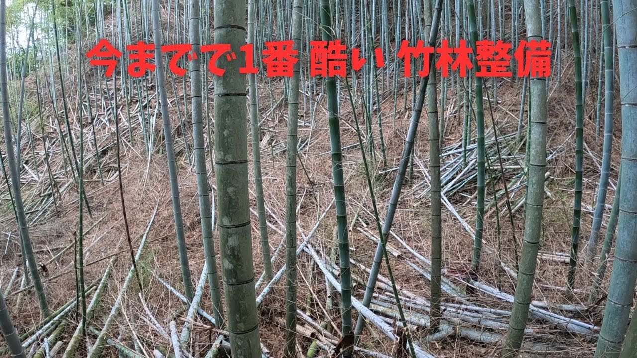 とんでもなく酷い現場に遭遇しました　過去最悪の後始末です