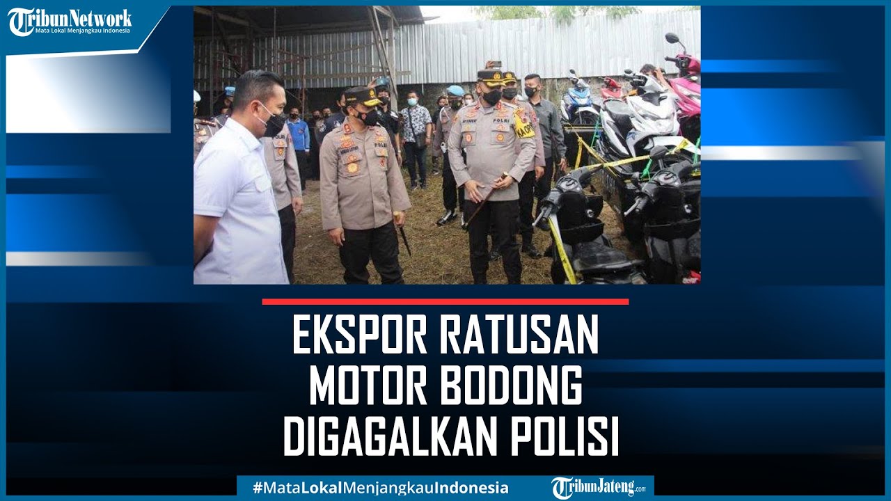 Ekspor Ratusan Motor Bodong dari Pati ke Timor Leste Digagalkan Polisi