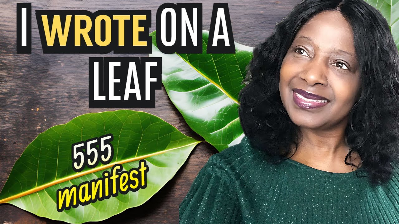 Write 555 MANIFEST On A BAY LEAF And See What Happens Fast