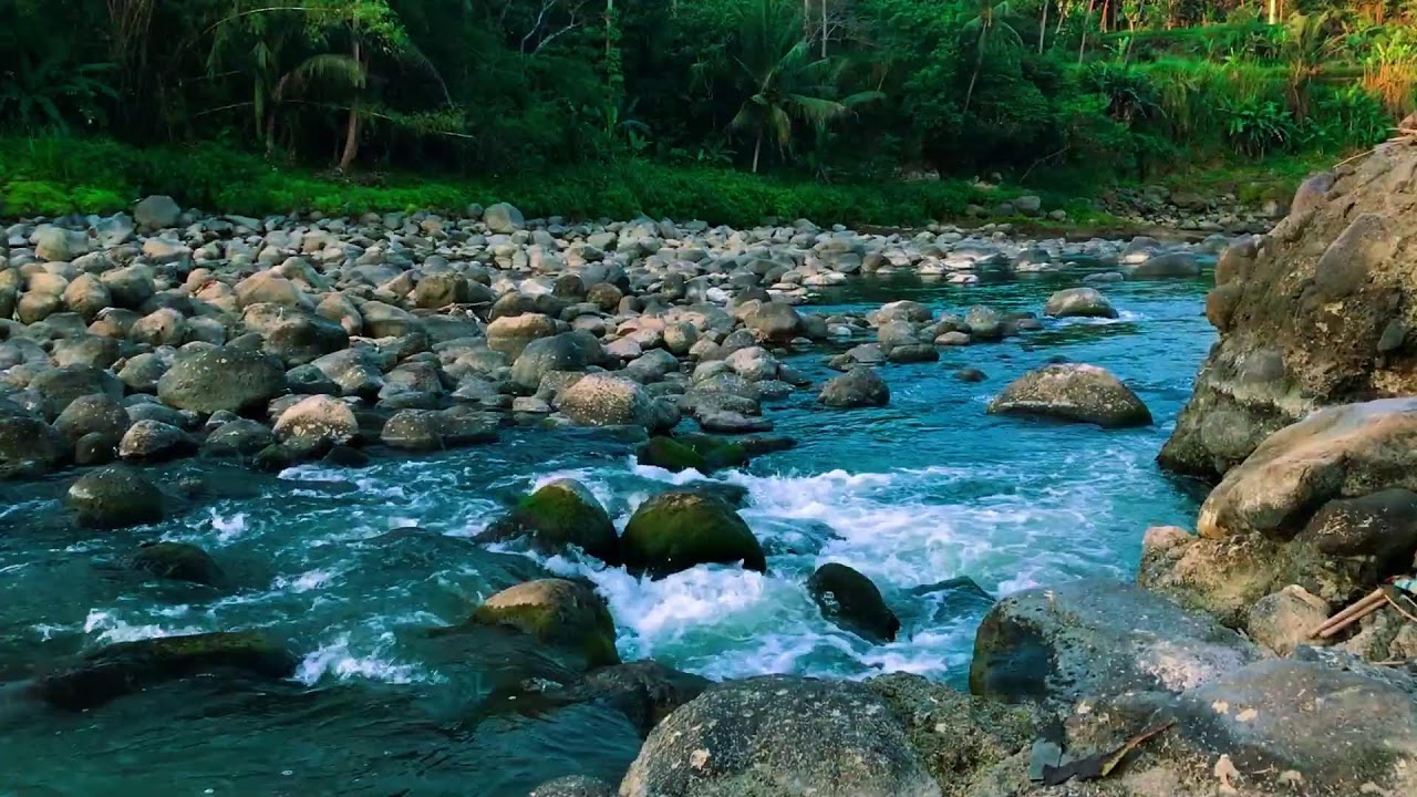 Soothing Calm Lake with Natural Sounds for Peace of Mind & Recharging