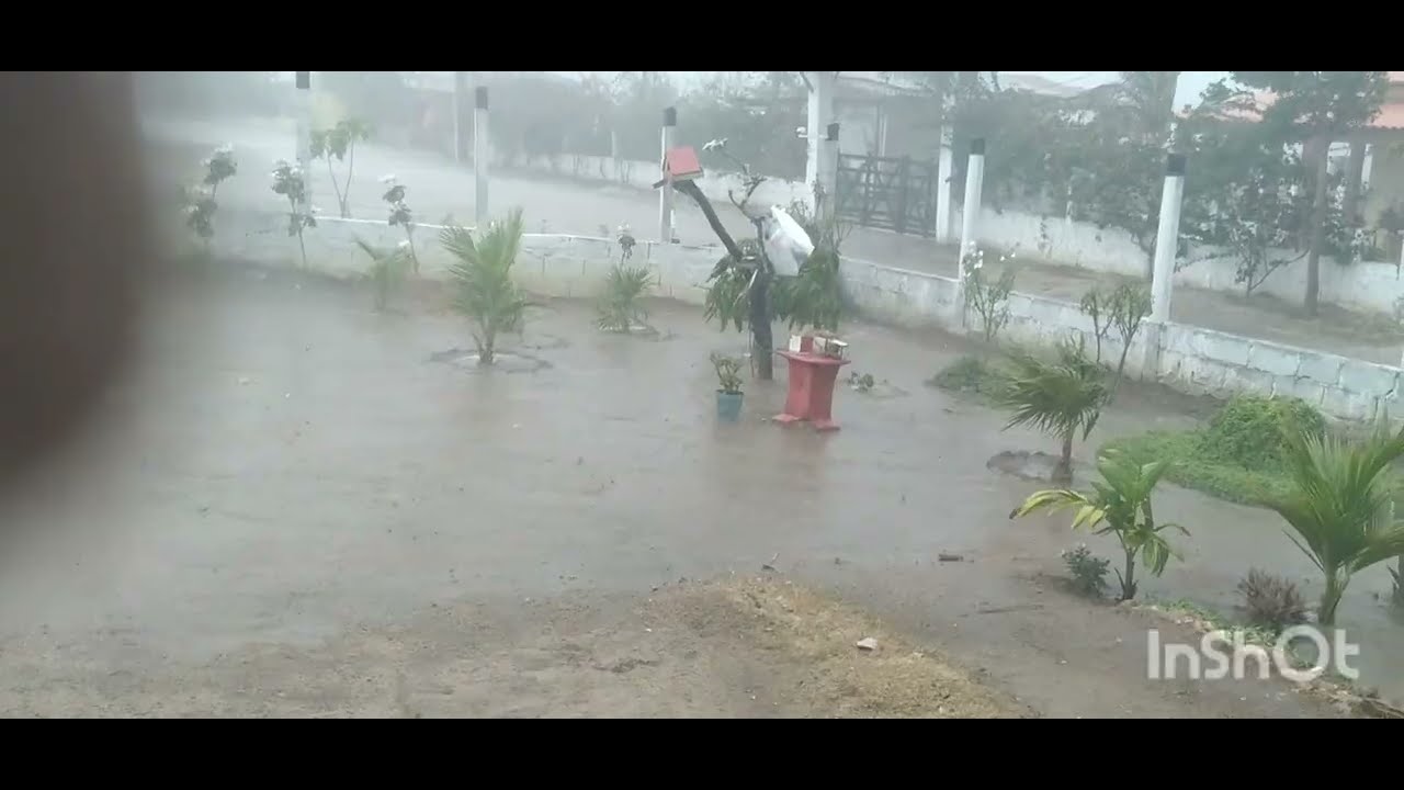 A bênção chegou chuva ☔  só alegria 