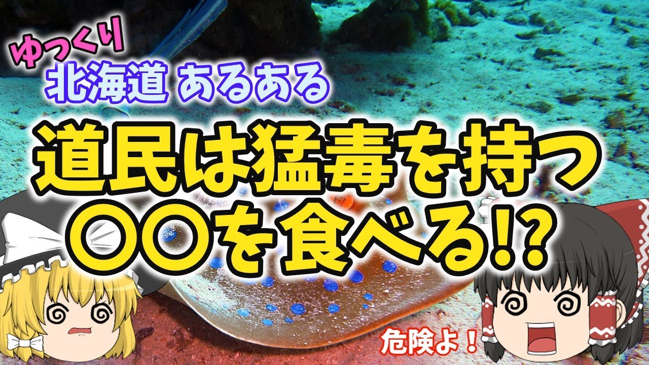 【ゆっくり解説】北海道あるある〖食べ物編〗道民が大好きな毒持ちのお魚とは!? 北海道旅行の前に必見！