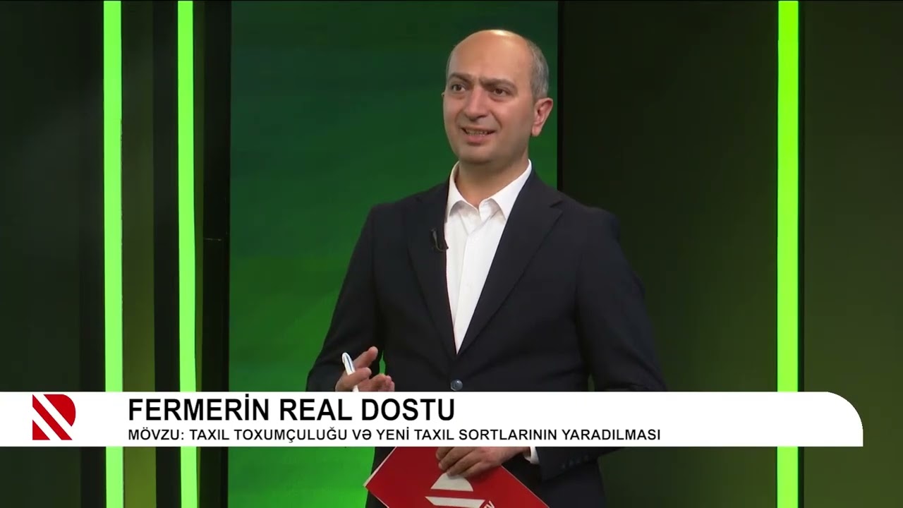 Taxıl toxumçuluğu və yeni taxıl sortlarının yaradılması - FERMERİN REAL DOSTU 