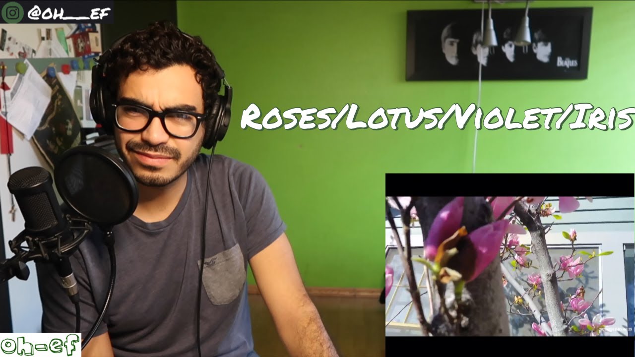 Hayley Williams | Roses/Lotus/Violet/Iris | REACTION #HayleyWilliams #RosesLotusVioletIris