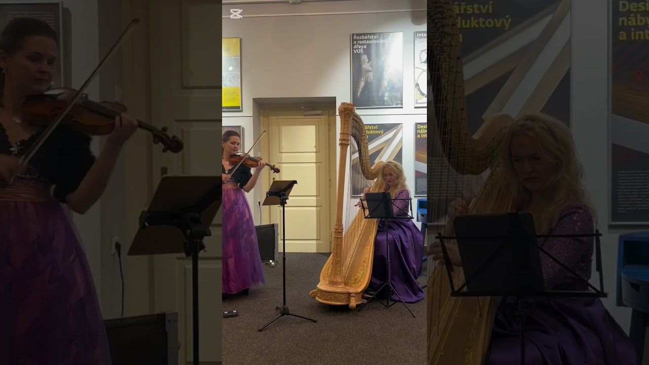 Duo Beautiful Strings K. Horká Agitato per corde live