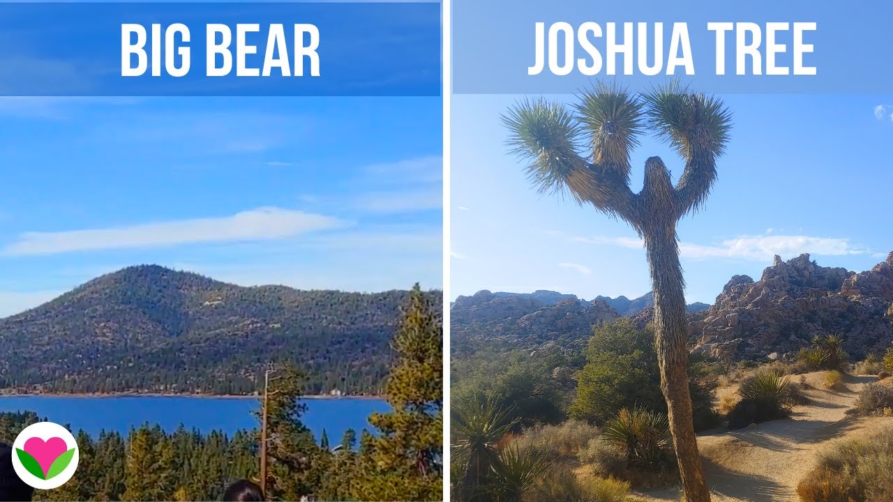 Big Bear & Joshua Tree - Road Trip & Vegan Eats
