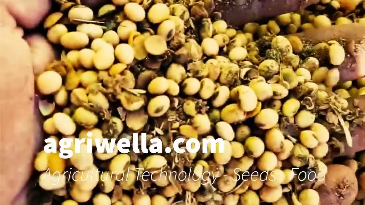 .Agriwella Getreidereiniger Grain.03