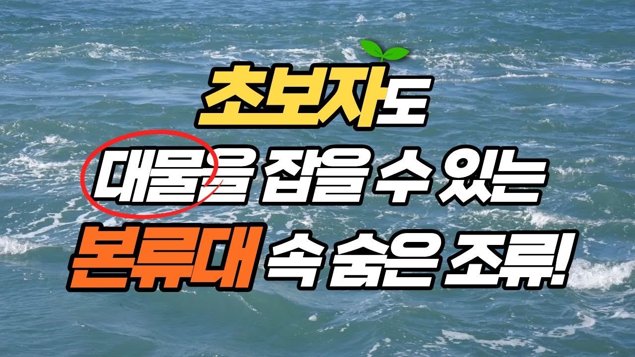 대물 감성돔 소굴 본류대. 쉽게 공략 합시다!!